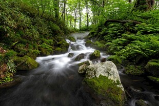 山林间的潺潺溪流