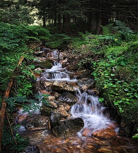 山间溪流绿意盎然的景致