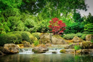 日式园林溪流红叶美景
