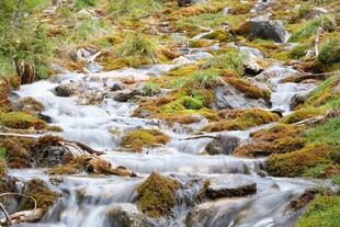 山间溪流潺潺绿意盎然