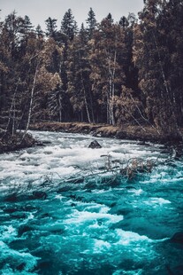 蓝绿色湍急河流与森林