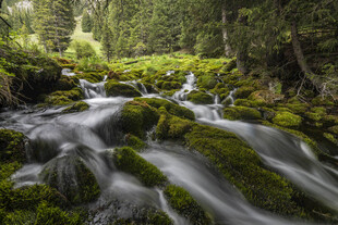 山间溪流穿青苔石景