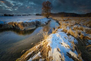 冬日雪覆河畔的静谧美景