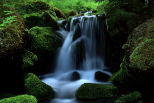 山间青苔瀑布美景
