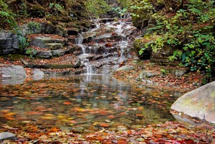秋日溪边小瀑布美景