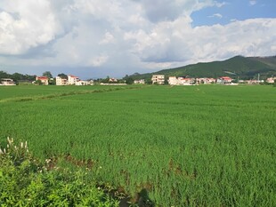 绿色田野与远处村落风光