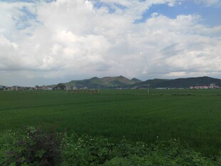 广袤绿野与天边云山美景
