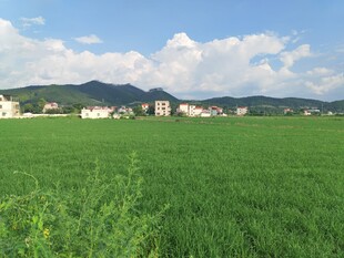 绿野村庄 远山蓝天美景