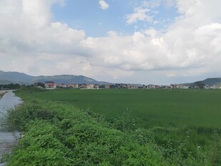 田园绿野风光