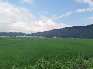 广袤绿野与远山蓝天
