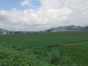 广袤绿野与远山美景