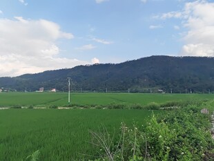田园绿野间的远山美景
