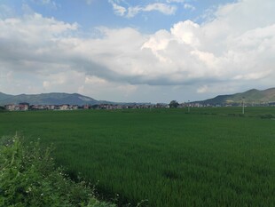 广袤绿野与远山蓝天