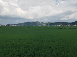 广袤绿野与远处山峦景色