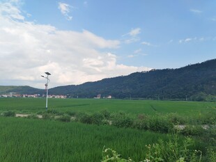 田园绿野风光