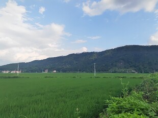 田园绿野 远山蓝天美景
