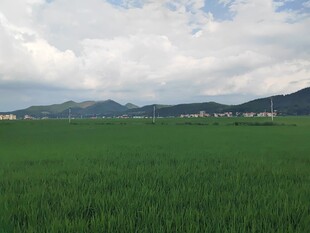 广袤绿野与远山的田园景致