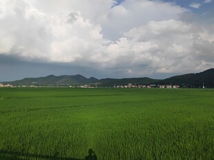 广袤绿野与远山的美丽景致