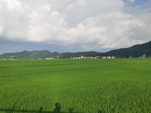 广袤绿野与远山的田园景致