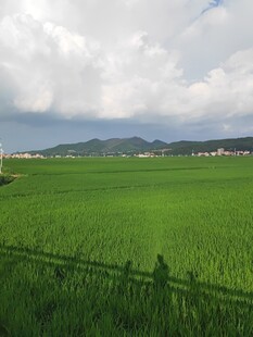 绿野田园风光