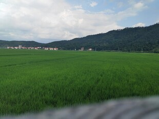 广袤绿野与远山美景