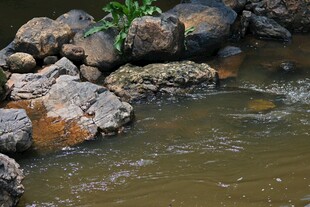 溪边嶙峋怪石与潺潺流水