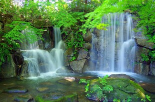 山林间的秀丽瀑布景观