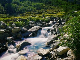 山间溪流潺潺石畔绿意浓