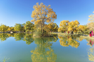 秋日湖畔美景