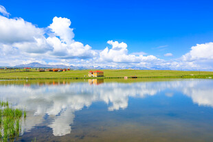 草原湖畔美景