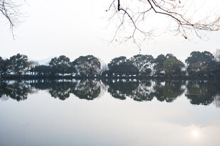 湖畔树木倒影静谧美景