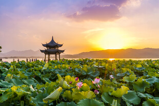 夕阳下荷塘中的古典亭子