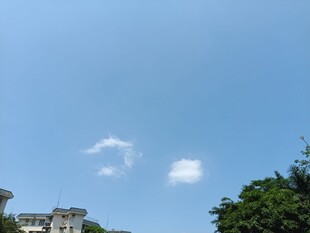 蓝天绿树间的清新景致