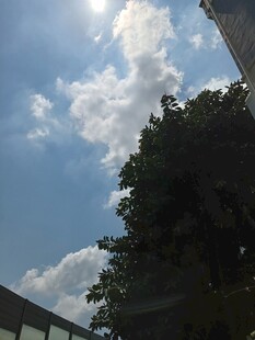 蓝天绿树间的晴朗景致