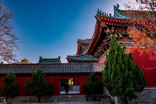 古建红墙下的秋日景致