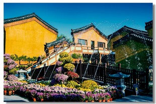 古巷繁花中的特色建筑群