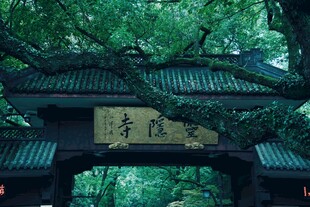 古寺门景绿荫掩映