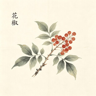 水墨绘花椒枝果图