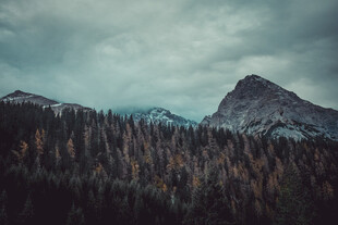 云雾山林间的巍峨山峰