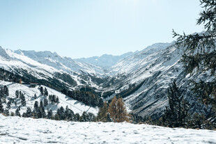 雪岭孤狼