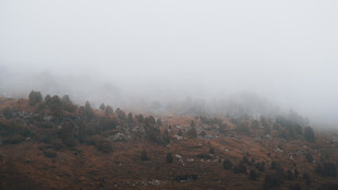 雾中朦胧山林景色