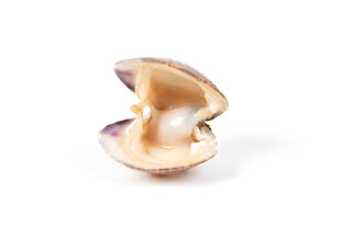 花甲