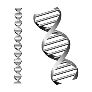 DNA 双螺旋素材