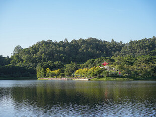 大夫山湖