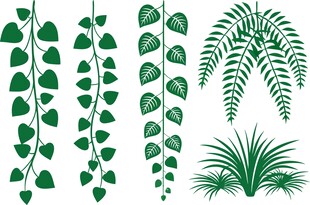 绿植藤蔓素材