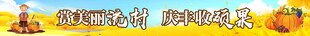 梦幻多彩字母装饰摆件