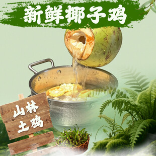 土鸡椰子鸡火锅入口图