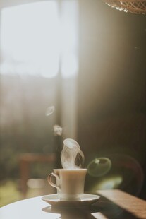 晨光下的咖啡杯