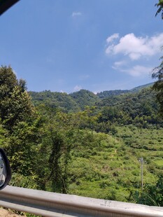 溪流风景  山村小路