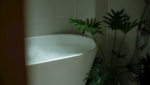 室内浴缸旁的绿植景观